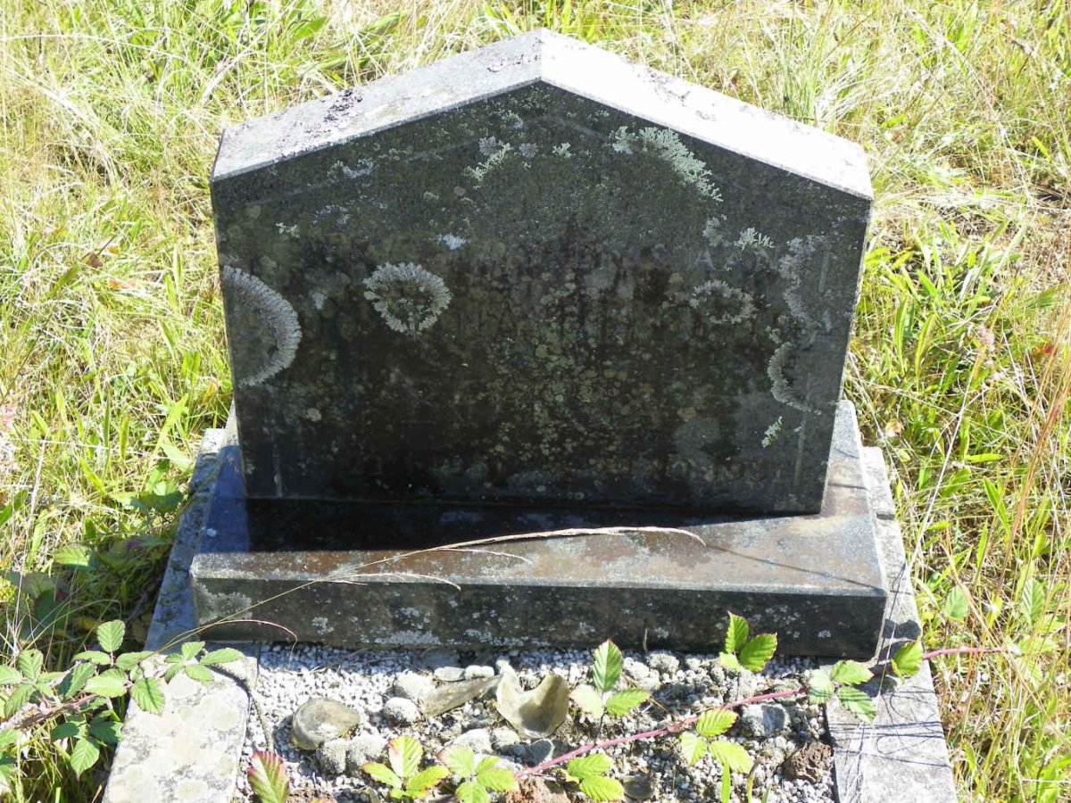 BOTHA Christina Hendrina 1951-1951
