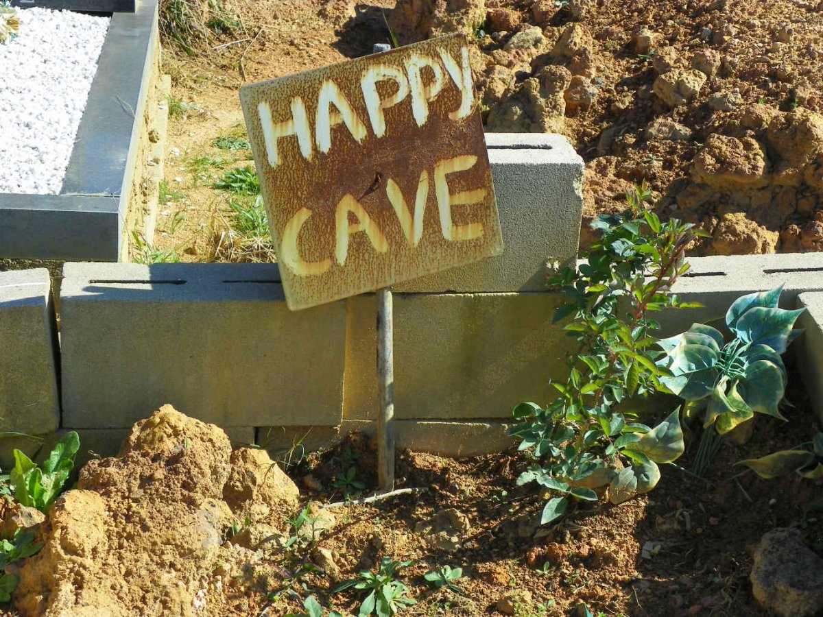 CAVE Happy