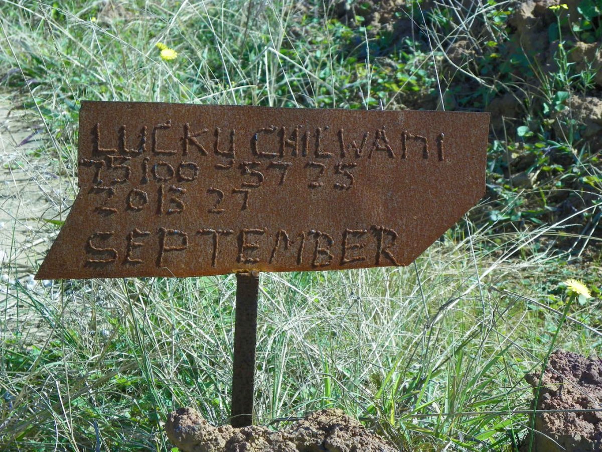 CHILWANE Lucky -2013