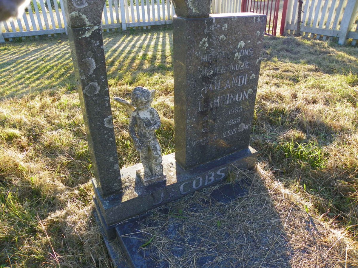 JACOBS Yolandi Lambinon 1983-1988