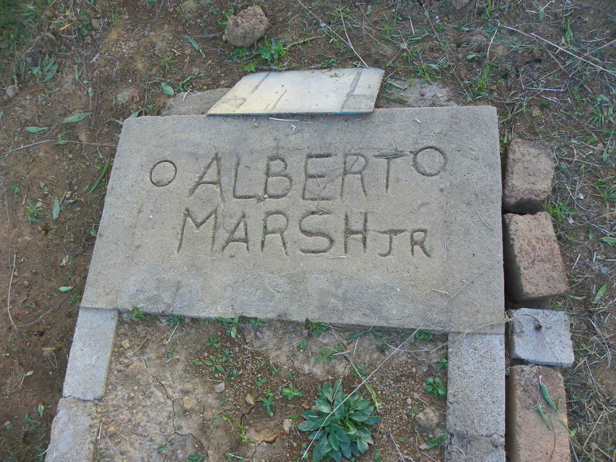 MARSH Albert