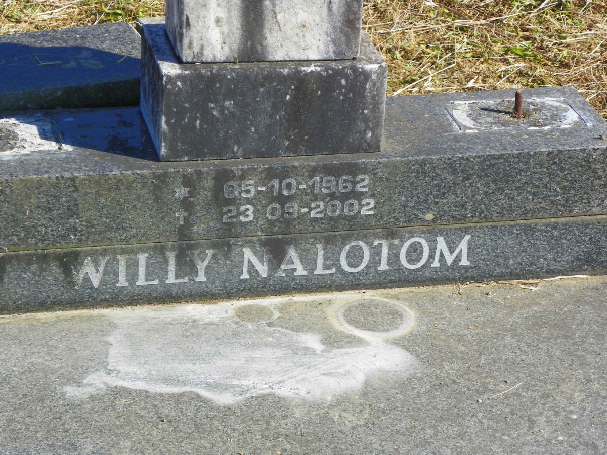 NALOTOM Willy 1962-2002