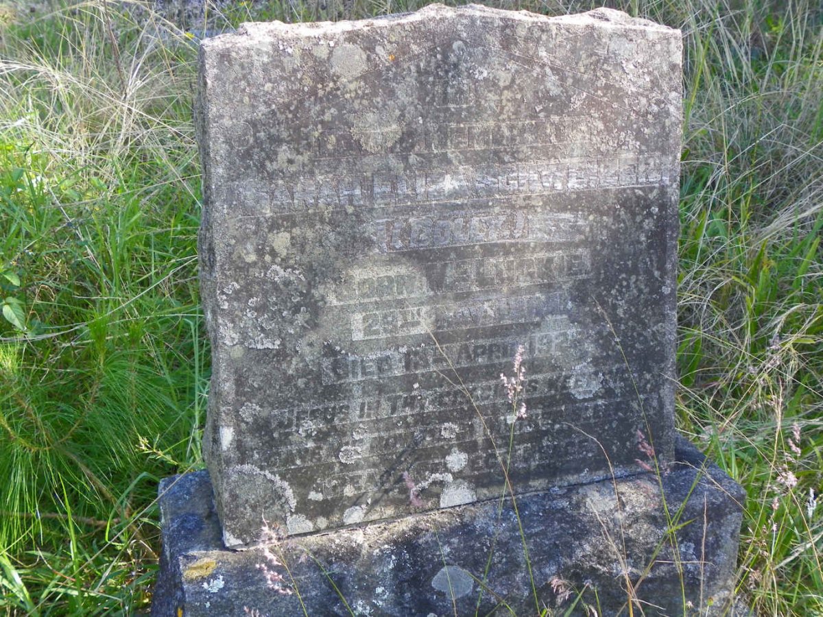 SCHWEIZER Sarah Eliza nee McLUCKIE 1869-1923