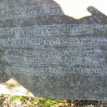 VILJOEN Gideon Petrus 1872-1951 _1
