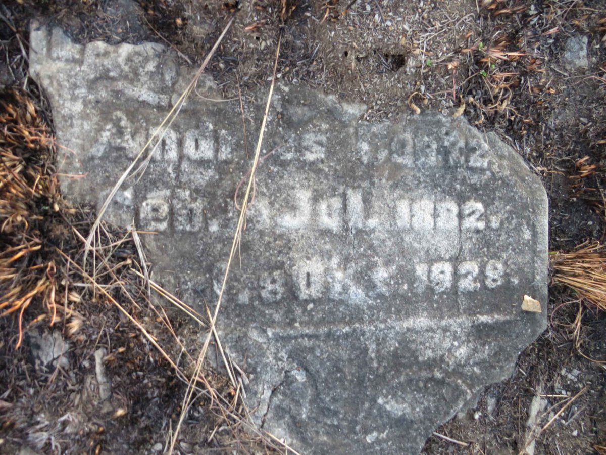 ? Andries 1882-1928