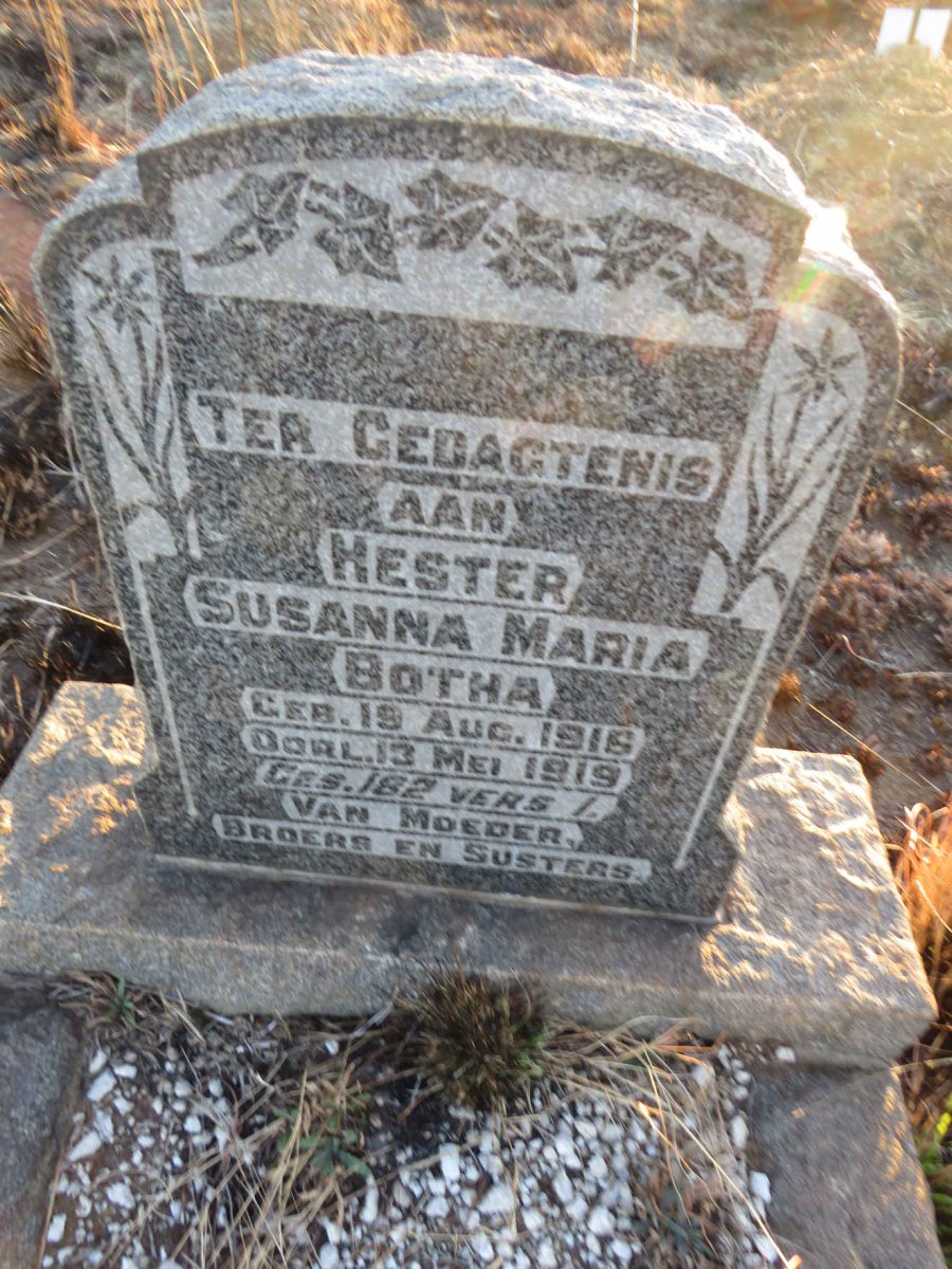 BOTHA Hester Susanna Maria 1916-1919
