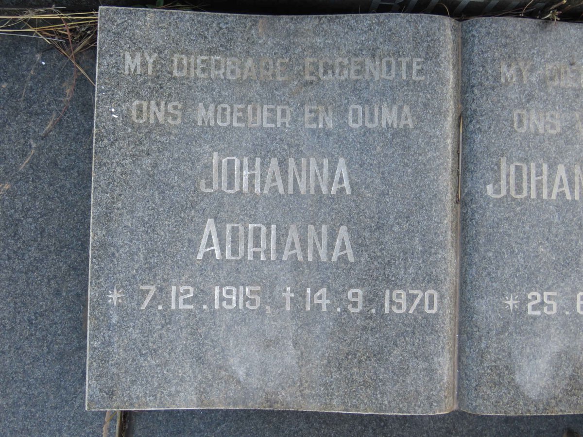 BOTHA Johannes Hendrik Petrus 1914-1986 & Johanna Adriana 1915-1970_3