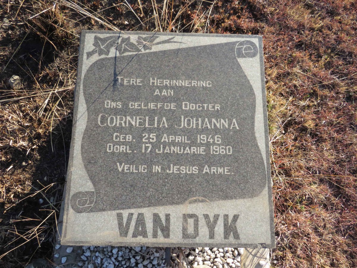 DYK Cornelia Johanna, van 1946-1960
