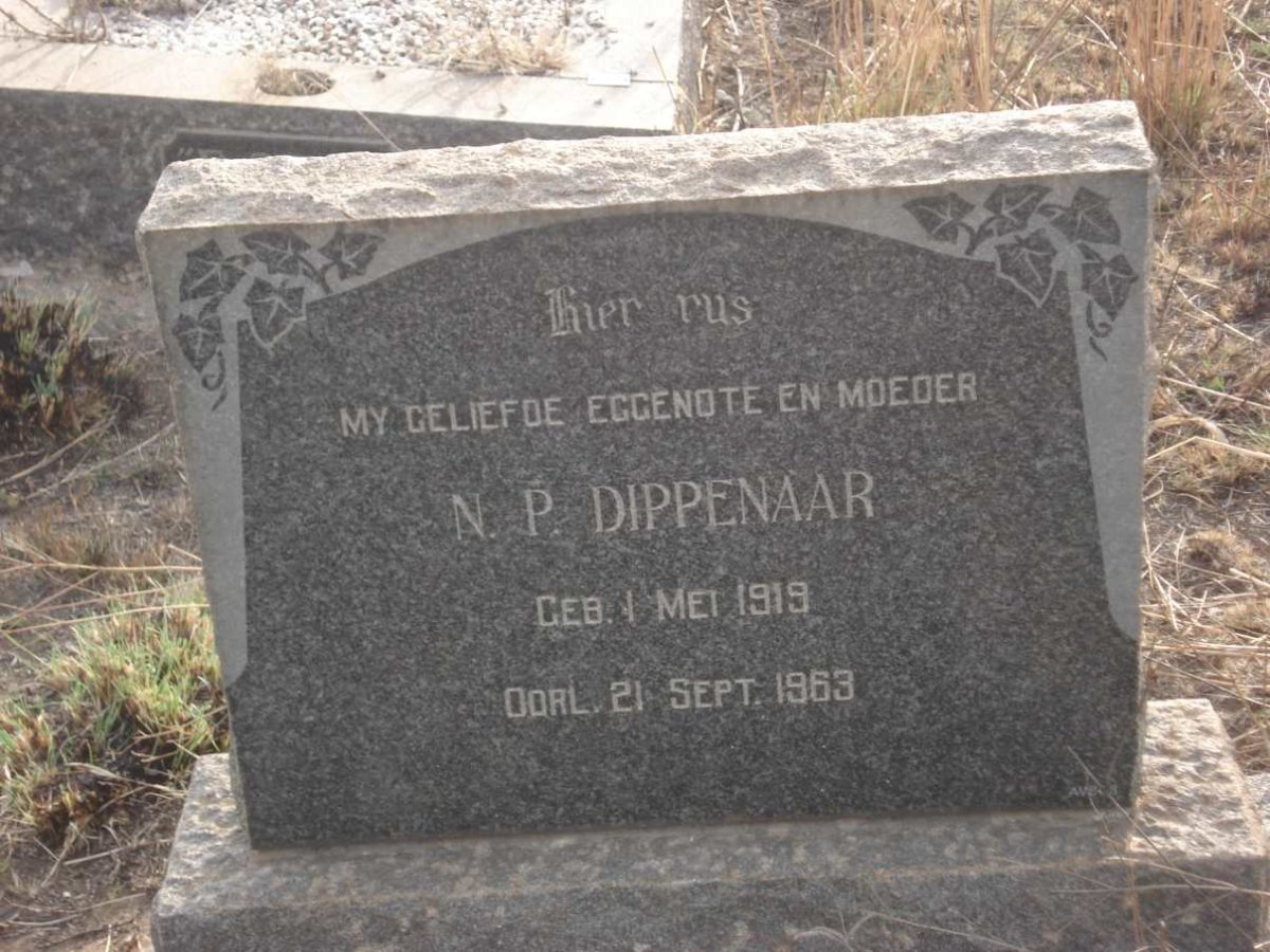 DIPPENAAR N.P. 1919-1963
