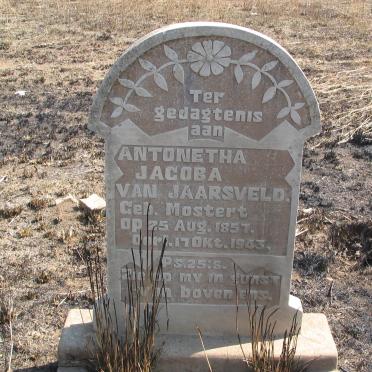 J - Vanne :: Surnames - J