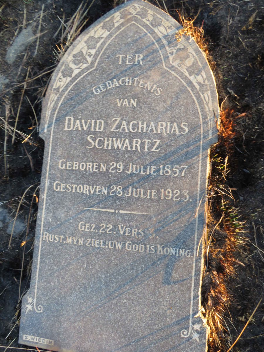 SCHWARTZ David Zacharias 1857-1923