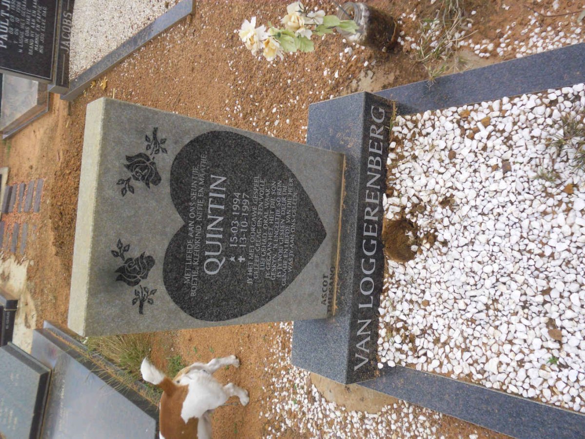 LOGGERENBERG Quintin, van 1994-1997