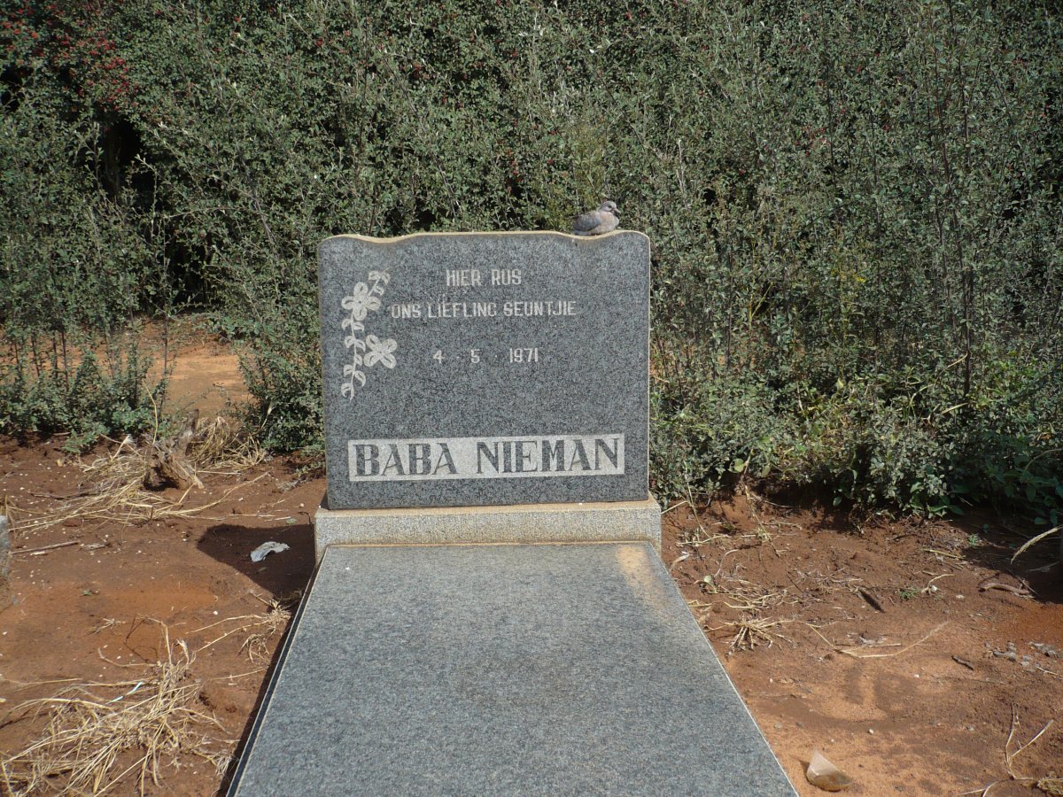 NIEMAN Baba 1971-1971