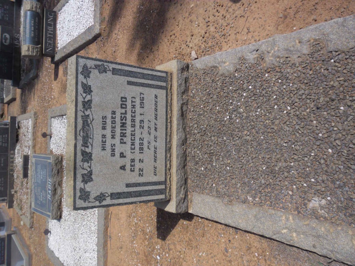 PRINSLOO A.P. nee ENGELBRECHT 1882-1967