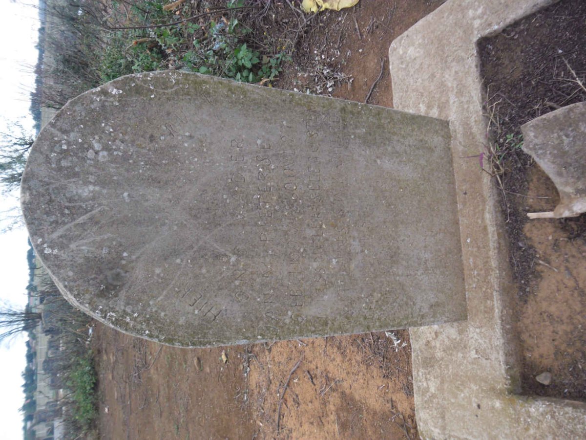 PIETERSE Jan M.