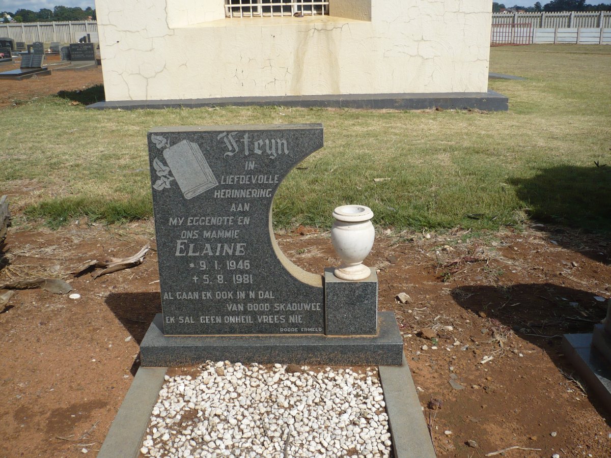 STEYN Elaine 1946-1981