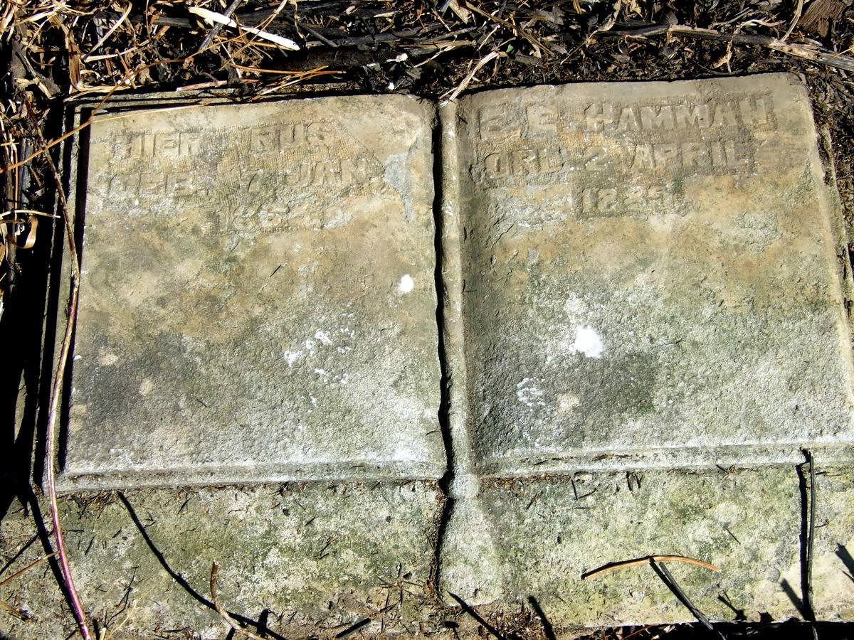 HAMMAN E.E. 1868-1889