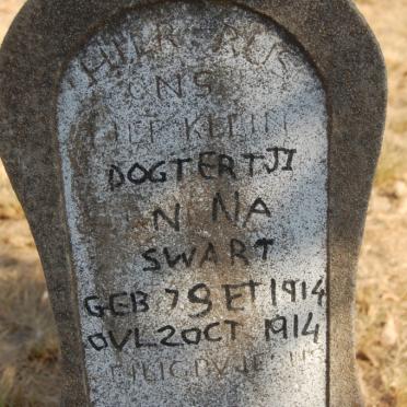 Mpumalanga, KRIEL district, van Dyksdrif, Vlaklaagte 45, farm cemetery_2