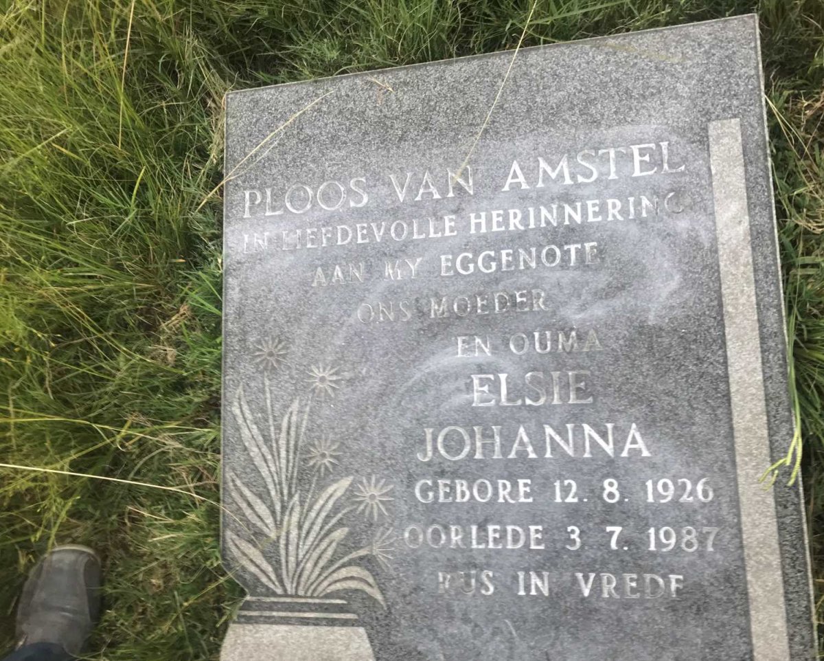 AMSTEL Elsie Johanna, PLOOS van 1926-1987