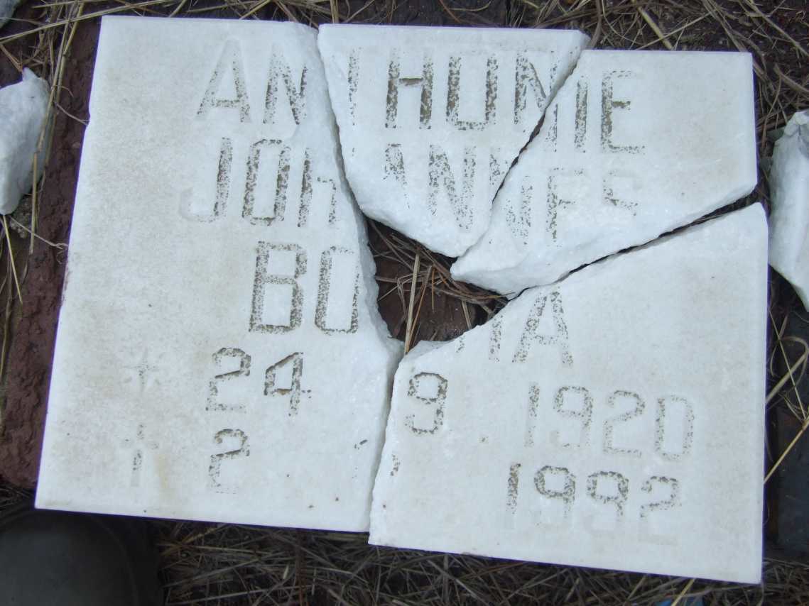 BOTHA Anthonie Johannes 1920-1992
