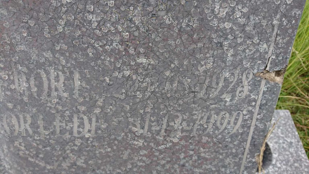 HEYMAN Loe?ie 1928-1999 :: HEYMAN Jan 1932-1999