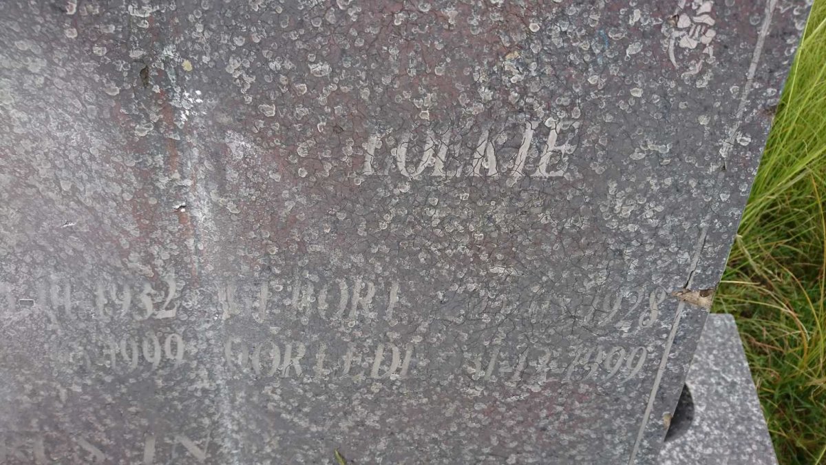 HEYMAN Loe?ie 1928-1999 :: HEYMAN Jan 1932-1999