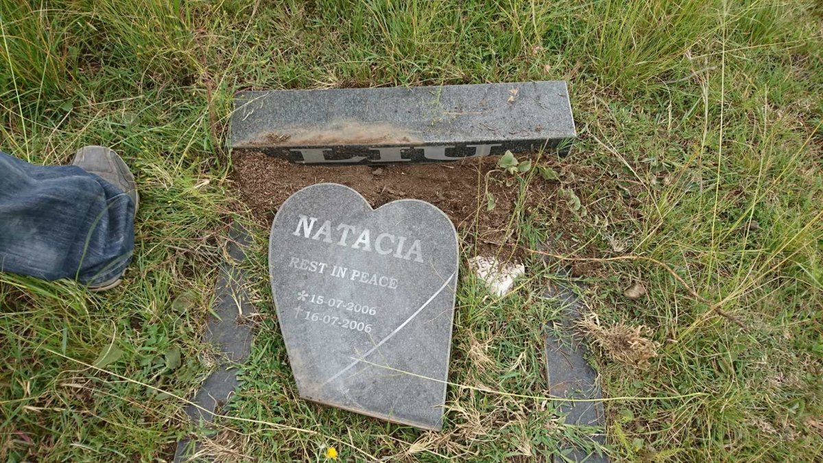 LIU Natacia 2006-2006