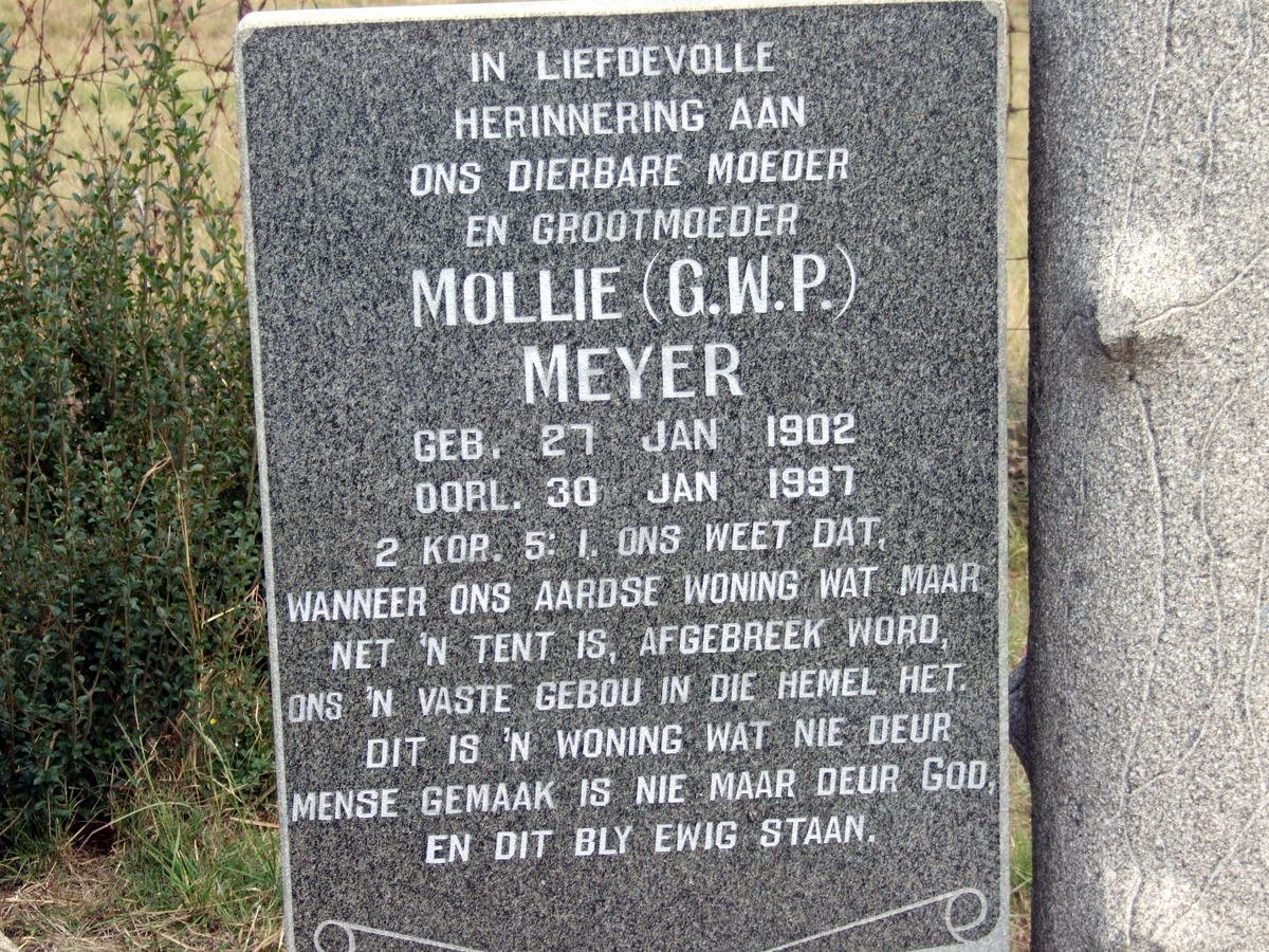 MEYER G.W.P. 1902-1997