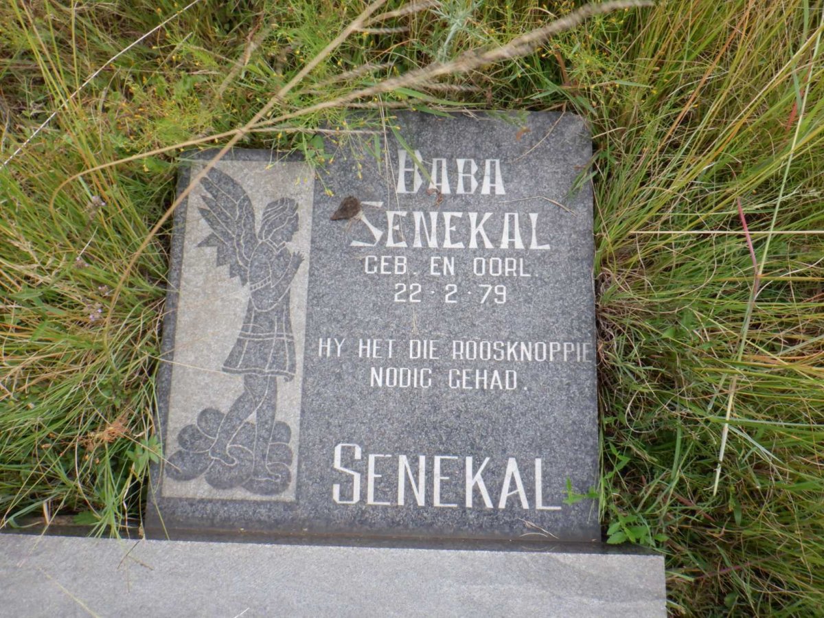 SENEKAL 1979-1979
