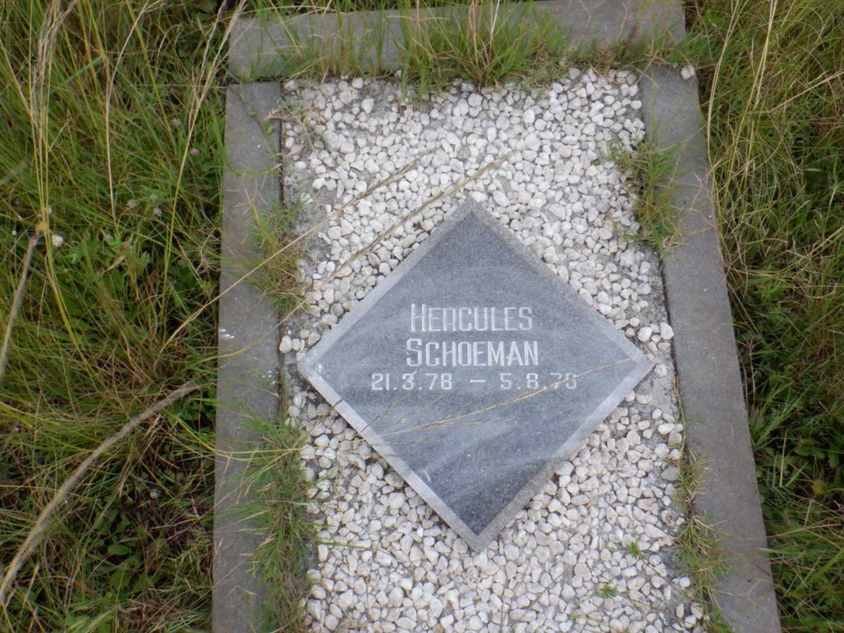 SCHOEMAN Hercules 1978-1979
