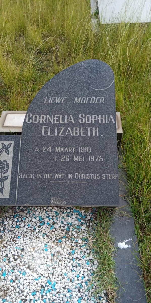 WILLEMSE Cornelia Sophia Elizabeth 1910-1975