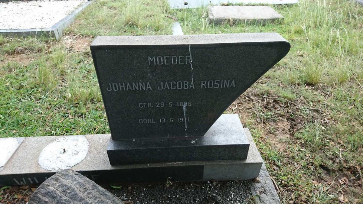 WILLEMSE Johanna Jacoba Rosina 1886-1971