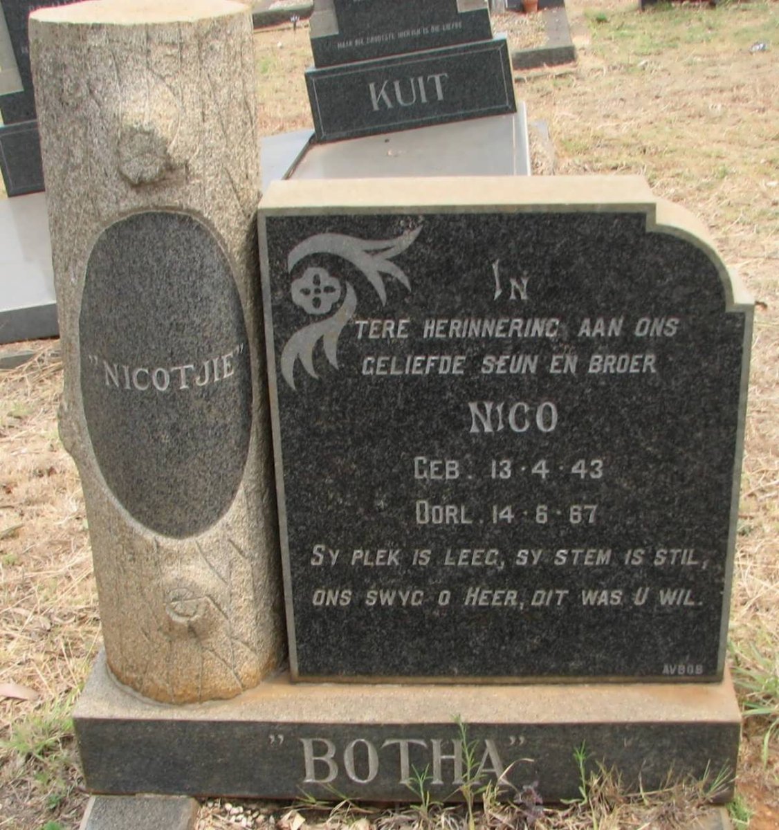 BOTHA Nico 1943-1967