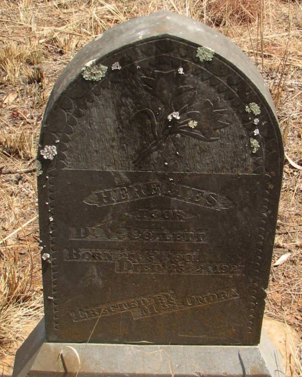 COLLETT D.V. 1907-1923