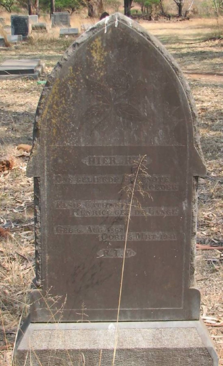 HENRICO Elsie Cathrina nee DE LANGE 1867-1941