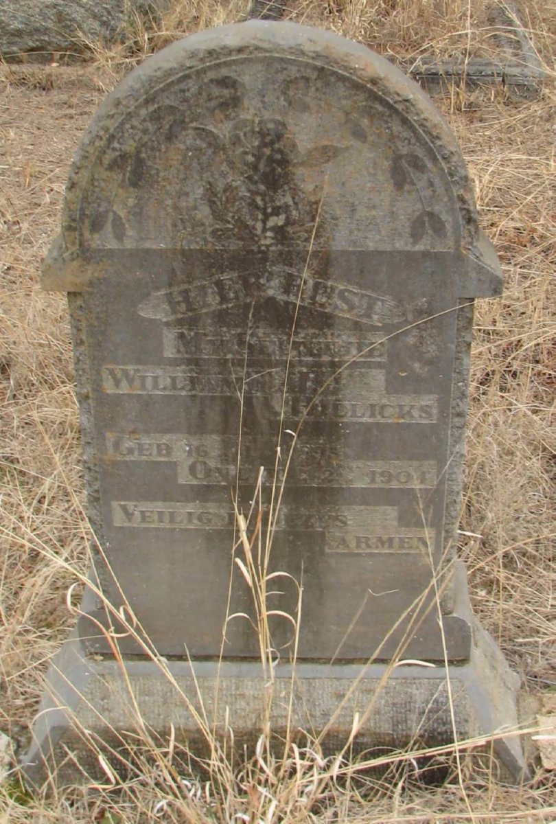 HILLICKS Willem T.J. 1895-1904