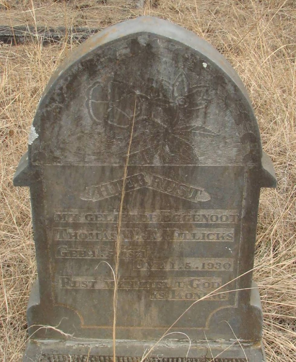 HILLICKS Thomas W.J. 1857-1930
