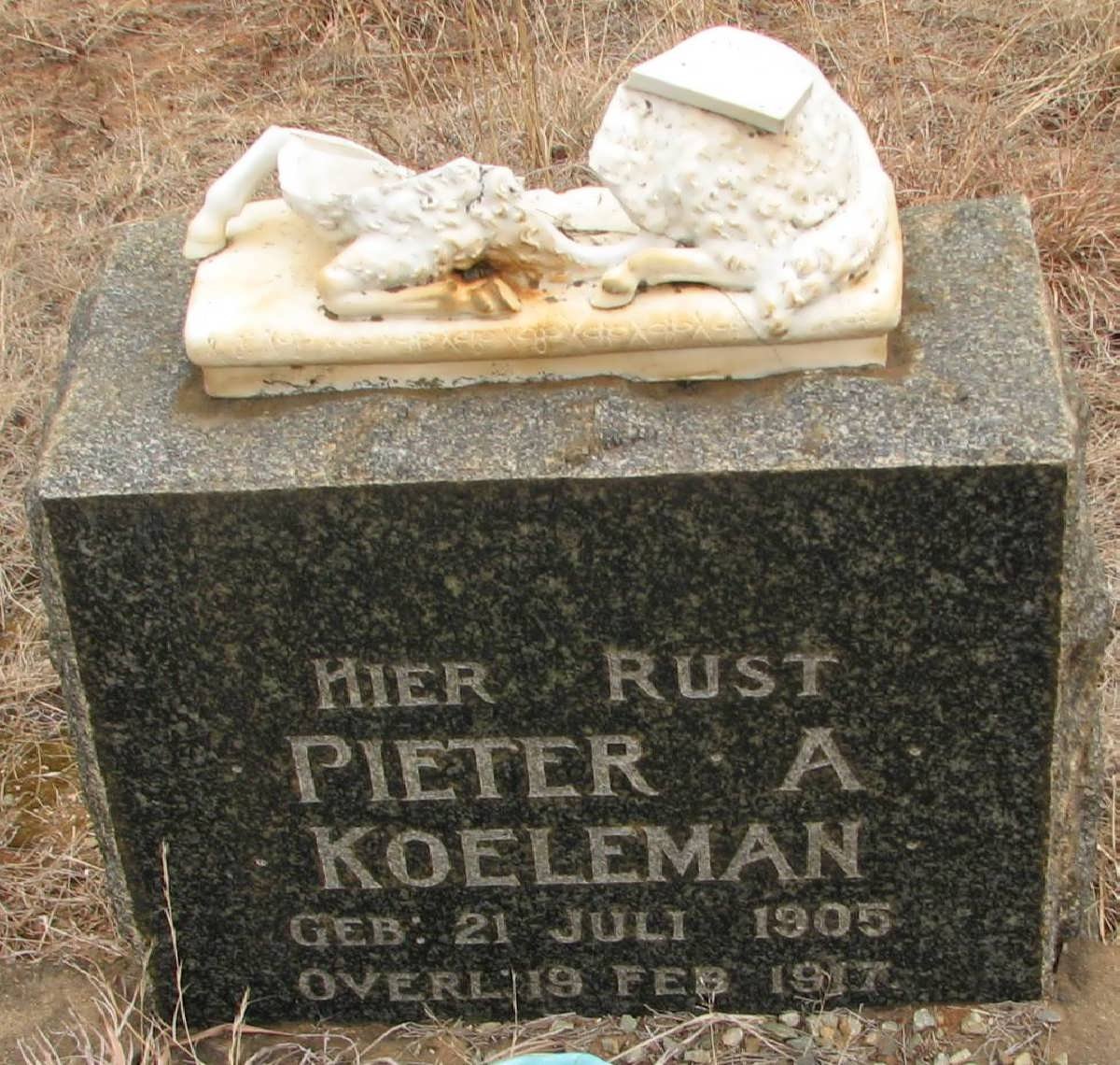 KOELEMAN Pieter A. 1905-1917