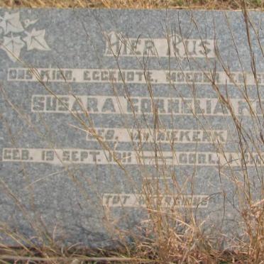 KOK Susara Cornelia nee VAN NIEKERK 1911-1943