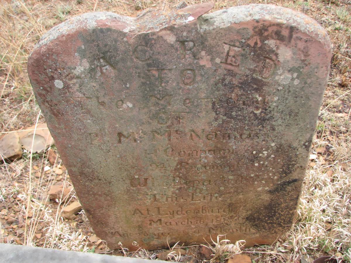 McNAMARA M.-1880