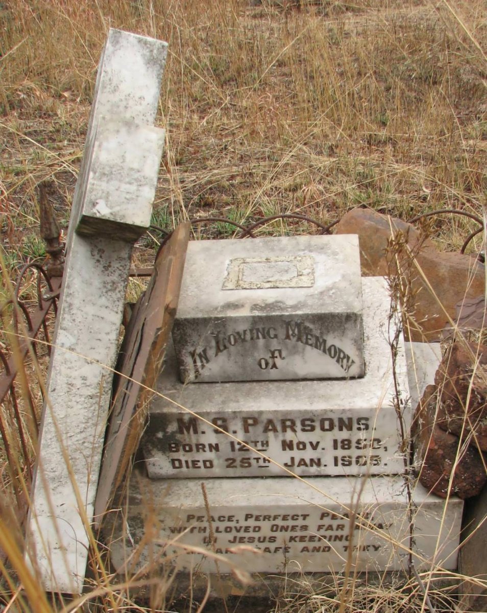PARSONS M.S. 1850-1905