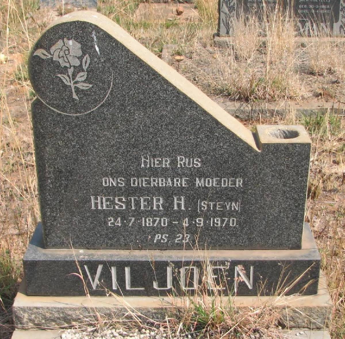 VILJOEN Hester H. nee STEYN 1870-1970