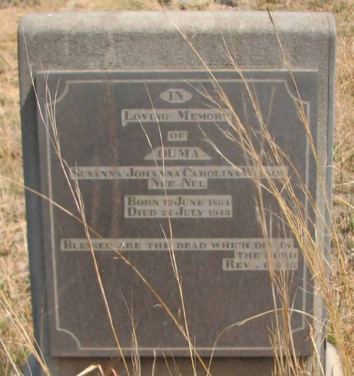 WILSON Susanna Johanna Carolina nee NEL 1864-1913