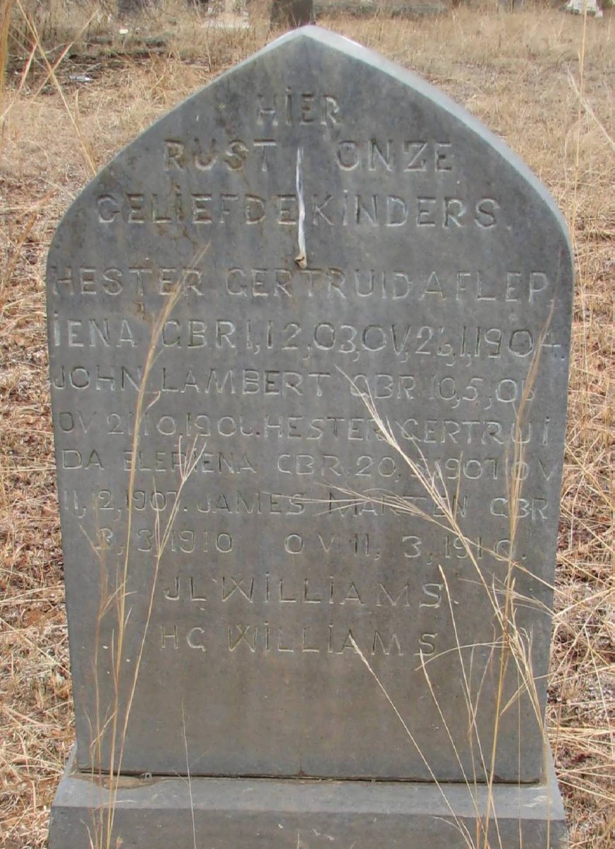 WILLIAMS Hester Gertruida Flepiena 1903-1904 :: WILLIAMS John Lambert 1906-1906 
