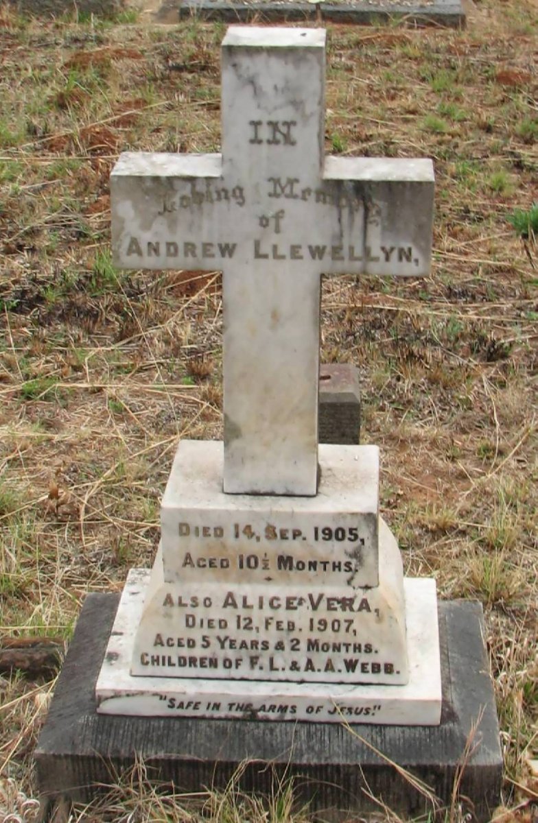 WEBB Andrew Llewellyn -1905 :: WEBB Alice Vere -1907