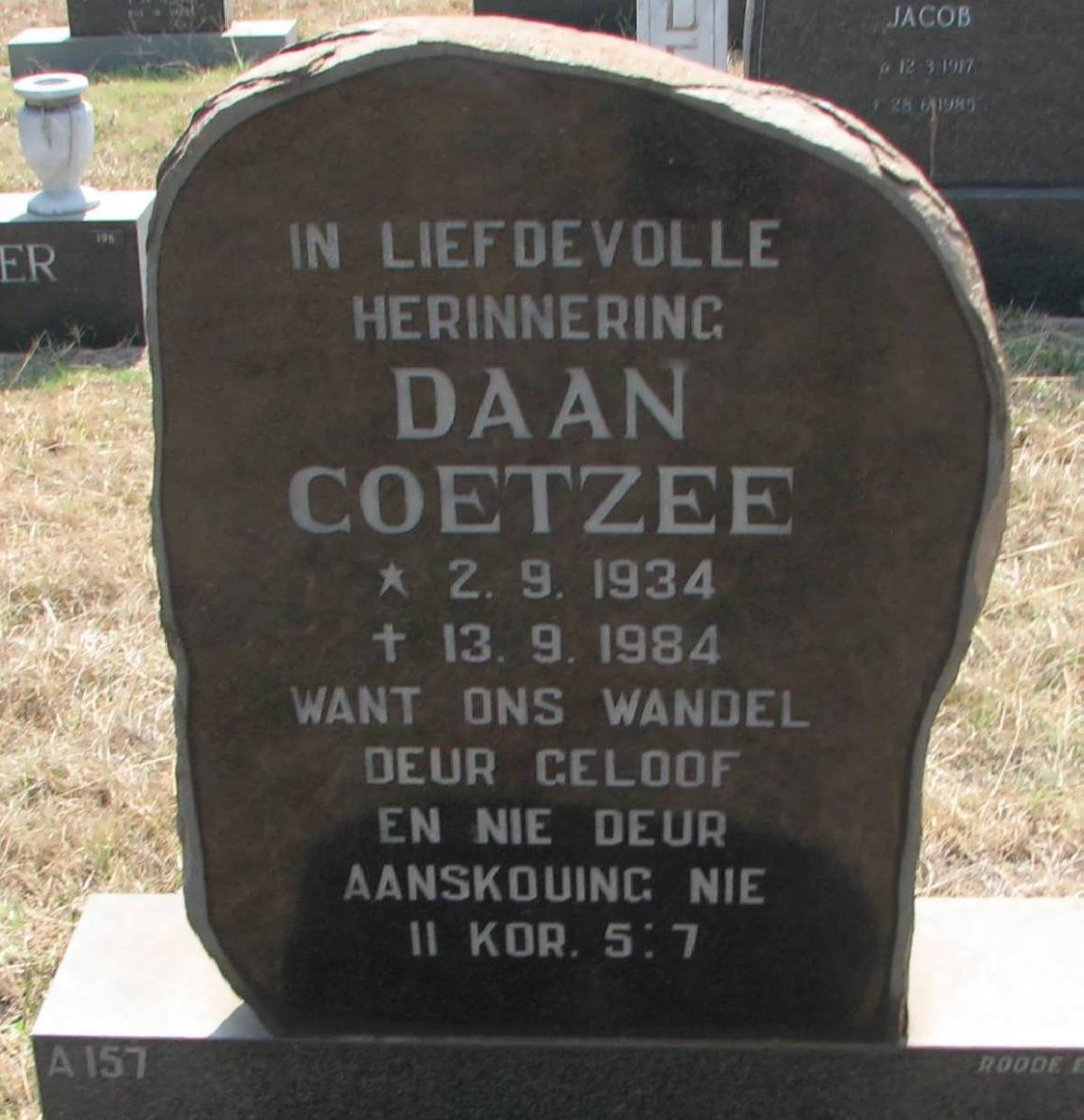 COETZEE Daan 1934-1984