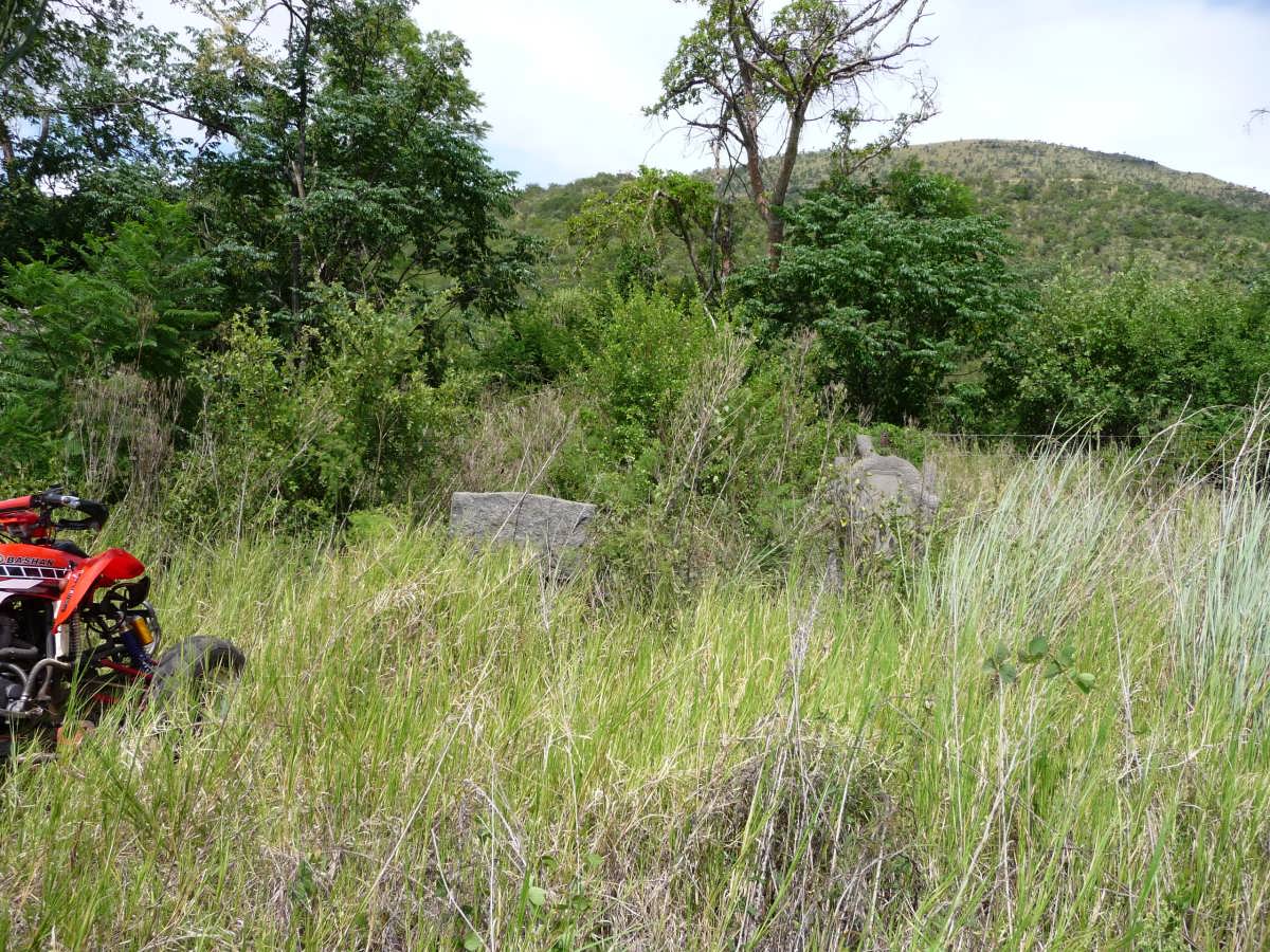 3. Overview on cemetery