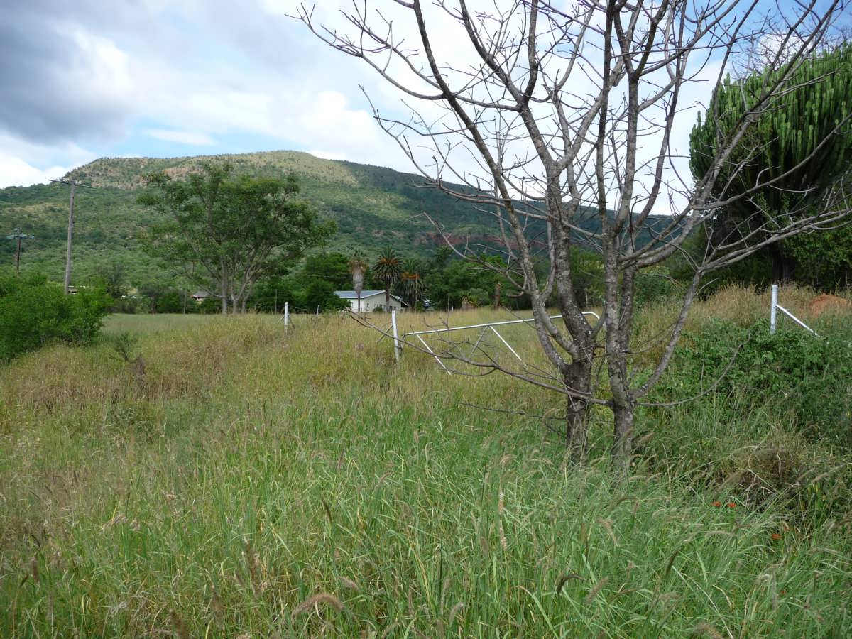 1. Overview on area