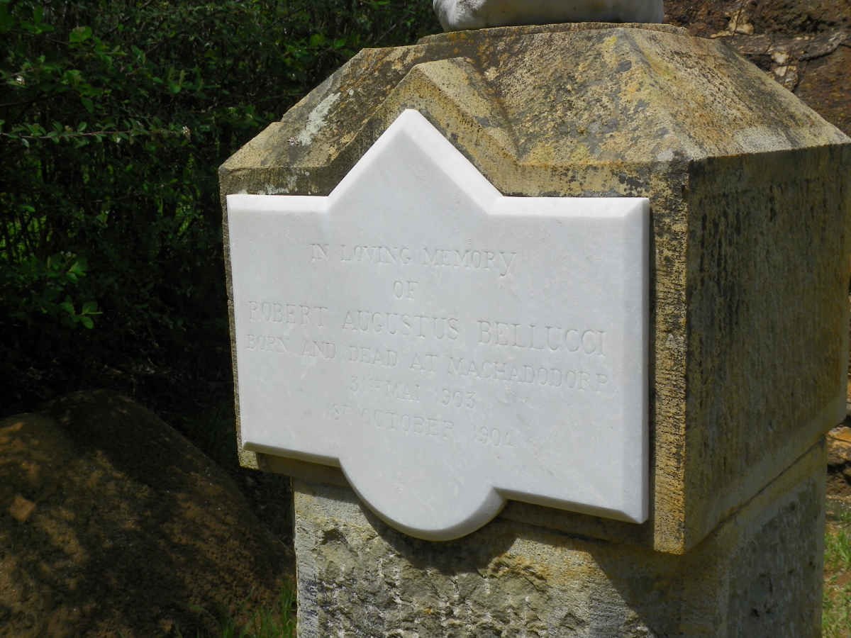 BELLUCCI Robert Augustus 1903-1904 _2
