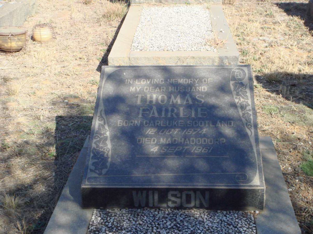 WILSON Thomas Fairlie 1874-1961
